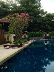 The Sensoria (D27), Condominium #116889252